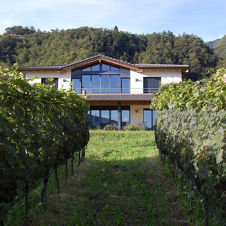 B&B Il Vigneto Melano Zewnętrze zdjęcie