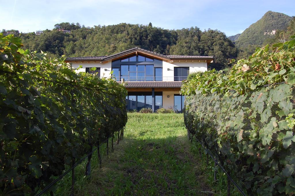 B&B Il Vigneto Melano Zewnętrze zdjęcie