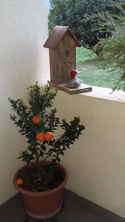 B&B Il Vigneto Melano Zewnętrze zdjęcie